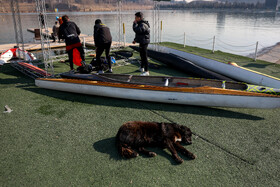 لیگ قایقرانی آب‌های آرام بانوان و آقایان