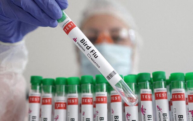 آمادگی البرز در برابر آنفلوآنزای پرندگان