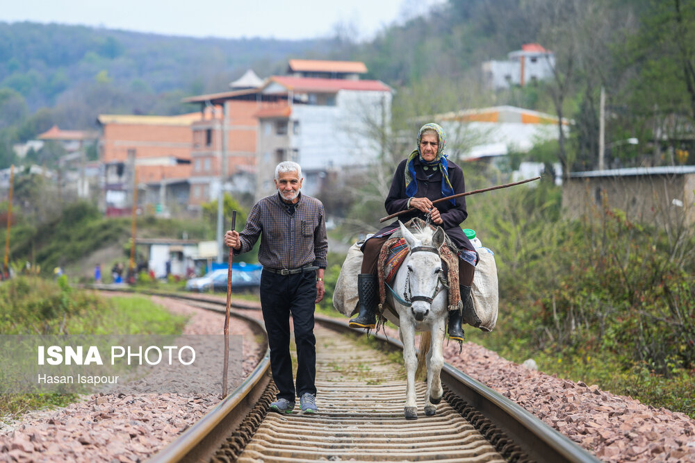 دامداری سنتی گالش مِنزل - سوادکوه
