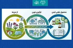 مروری جامع بر فناوری‌های نوین فرآوری گیاهان دارویی؛ از مزرعه تا محصول نهایی ایمن