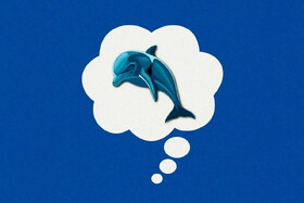 با «دلفین آبی» از «خرس های سفید» خلاص شوید!