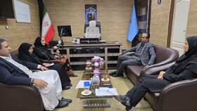 تعاونی‌ها بستر اجرای طرح‌های اشتغال بانوان در سیستان و بلوچستان