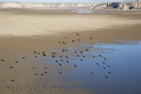 سد بوستان - استان گلستان - دی ماه ۱۴۰۴