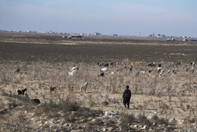 سد وشمگیر - استان گلستان - دی ماه ۱۴۰۴