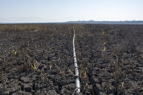 سد گلستان - استان گلستان - دی ماه ۱۴۰۴