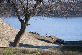 سد بوستان - استان گلستان - دی ماه ۱۴۰۴