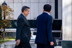 حسین افشین، معاون علمی و فناوری رئيس‌جمهور و محمدجعفر قائم‌پناه، معاون اجرایی رئیس جمهور و سرپرست نهاد ریاست جمهوری در حاشیه جلسه هیات دولت- ۲۴ دی