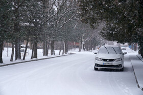 بارش برف در اردبیل