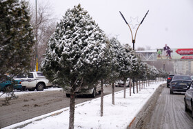 بارش برف در اردبیل