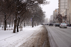 بارش برف در اردبیل