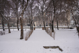 بارش برف در اردبیل