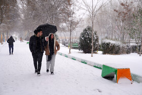 بارش برف در اردبیل