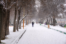 بارش برف در اردبیل