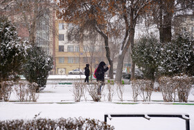 بارش برف در اردبیل