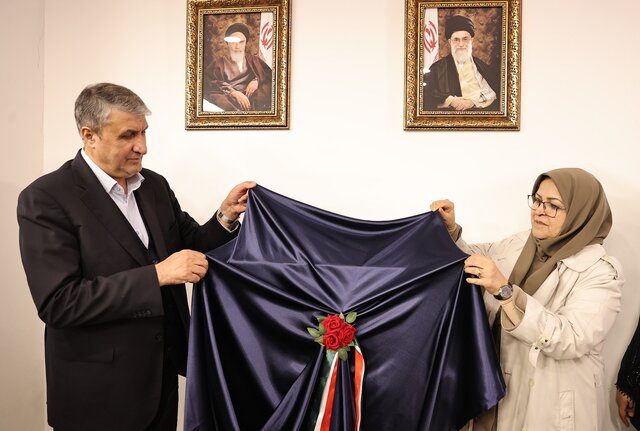 رییس سازمان ملی استاندارد: مدل سیستمی ایجاد شده در سازمان انرژی اتمی شایسته تقدیر است