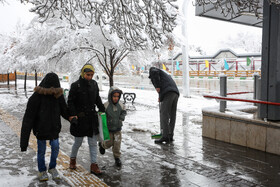 بارش اولین برف زمستانی مشهد - پارک ملت