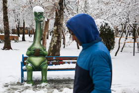 بارش اولین برف زمستانی مشهد - پارک ملت