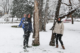 بارش اولین برف زمستانی مشهد - پارک ملت