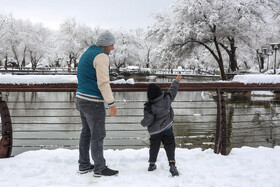 بارش اولین برف زمستانی مشهد - پارک ملت