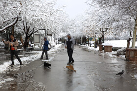 بارش اولین برف زمستانی مشهد - پارک ملت