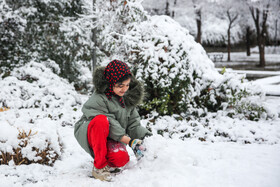 بارش اولین برف زمستانی مشهد - پارک ملت