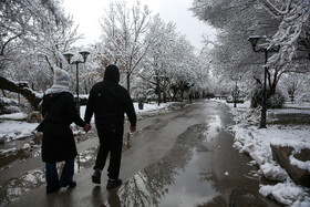 بارش اولین برف زمستانی مشهد - پارک ملت