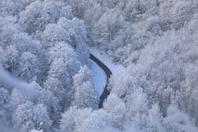 بارش زمستانی برف سوادکوه-مازندران