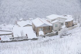 بارش زمستانی برف سوادکوه-مازندران