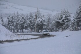 بارش زمستانی برف سوادکوه-مازندران