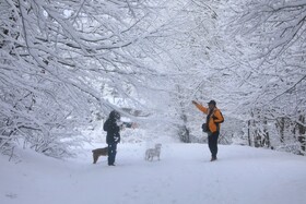 بارش زمستانی برف سوادکوه-مازندران