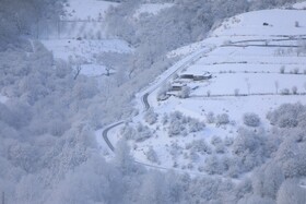 بارش زمستانی برف سوادکوه-مازندران