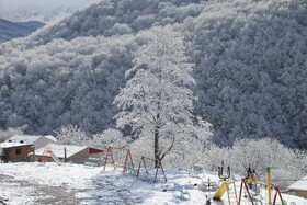 بارش زمستانی برف سوادکوه-مازندران