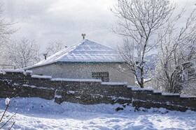 بارش زمستانی برف سوادکوه-مازندران
