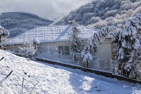 بارش زمستانی برف سوادکوه-مازندران