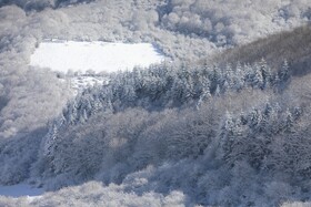 بارش زمستانی برف سوادکوه-مازندران
