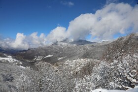بارش زمستانی برف سوادکوه-مازندران