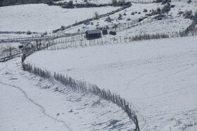 بارش زمستانی برف سوادکوه-مازندران