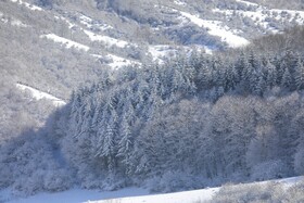 بارش زمستانی برف سوادکوه-مازندران