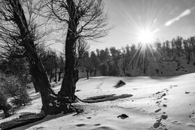 باد و برف و باران در کوهستان‌های ایران