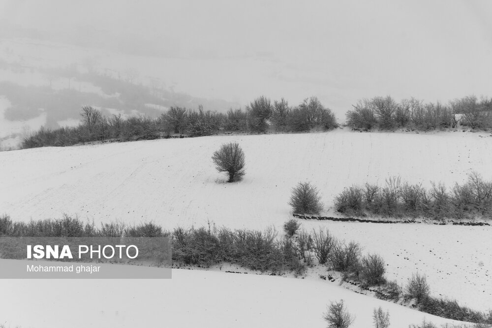 طبیعت زمستانی استان گلستان
