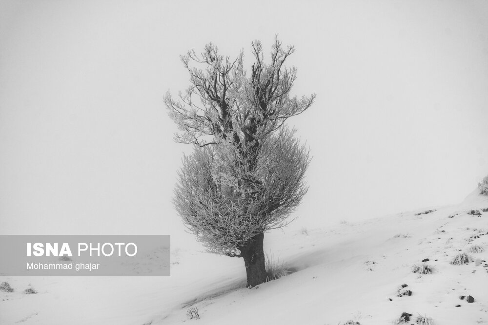 طبیعت زمستانی استان گلستان