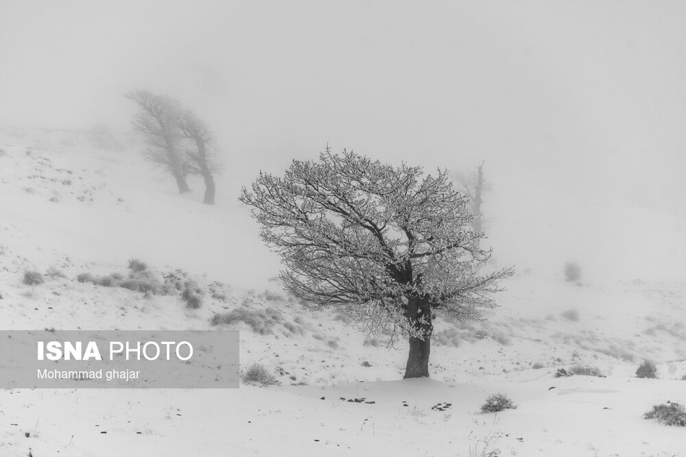طبیعت زمستانی استان گلستان