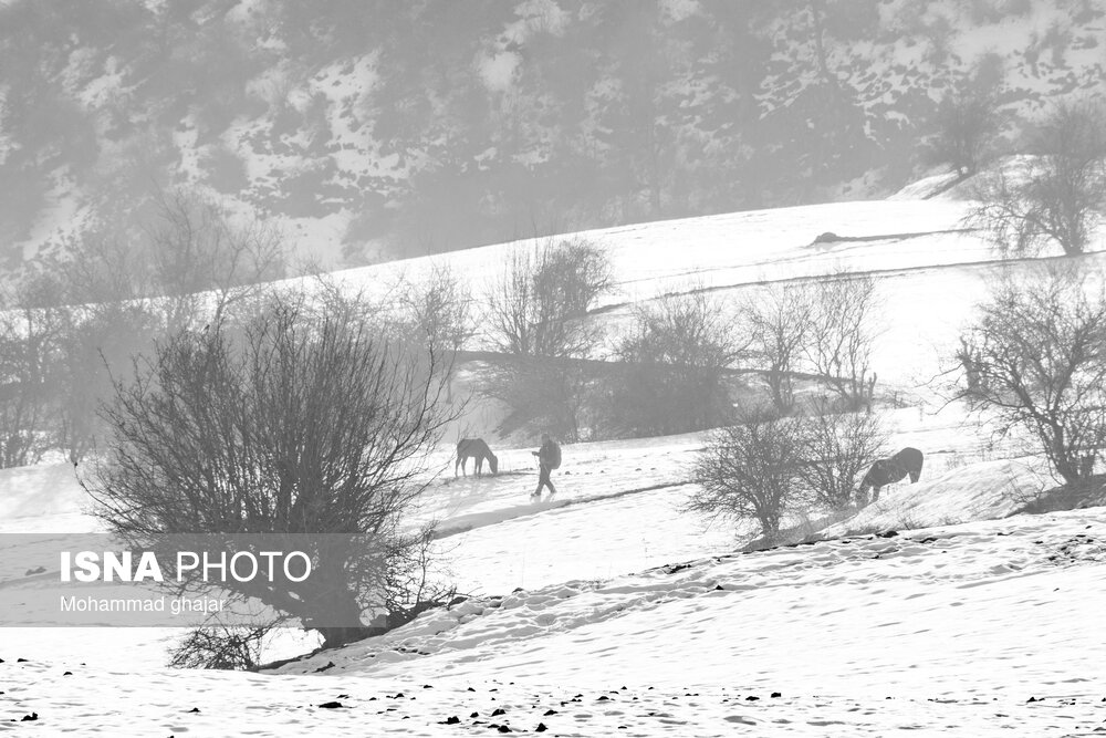 طبیعت زمستانی استان گلستان