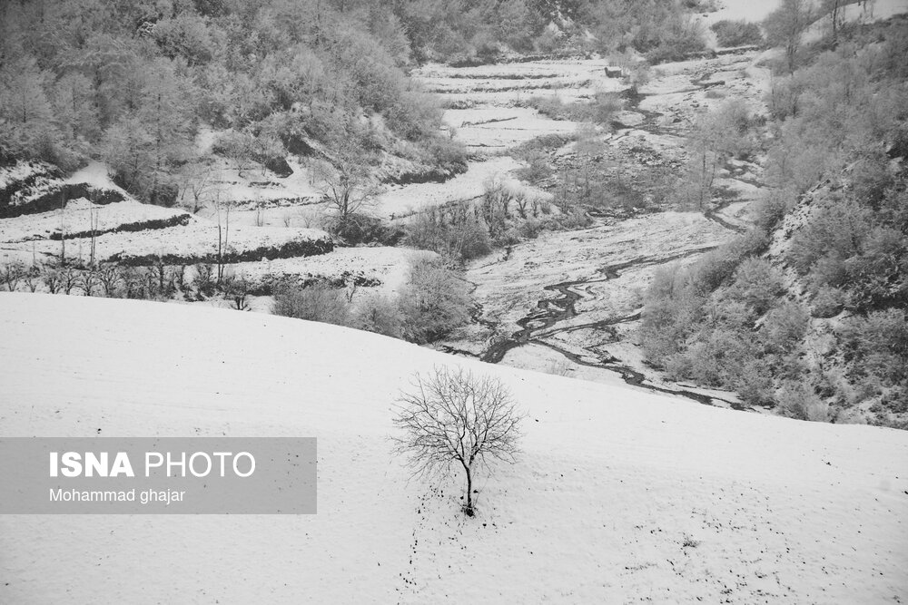 طبیعت زمستانی استان گلستان