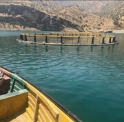 قابلیت‌های ارزشمند سواحل مکران برای توسعه صیادی و آبزی‌پروری