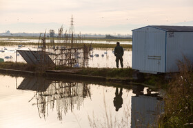 حفاظت از تالاب بدون مدیریت منابع آب بالادست ممکن نیست | تالاب سرخرود - فریدونکنار