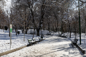 Daily Life in Tehran: the Capital Cloaked in Snow, Iran, 21 January 2026