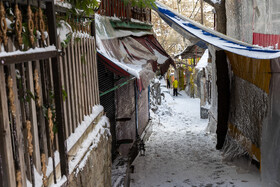 Daily Life in Tehran: the Capital Cloaked in Snow, Iran, 21 January 2026