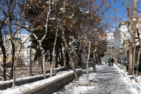 Daily Life in Tehran: the Capital Cloaked in Snow, Iran, 21 January 2026