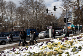 Daily Life in Tehran: the Capital Cloaked in Snow, Iran, 21 January 2026